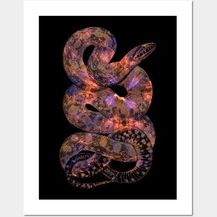 Cosmic Serpent Posters and Art